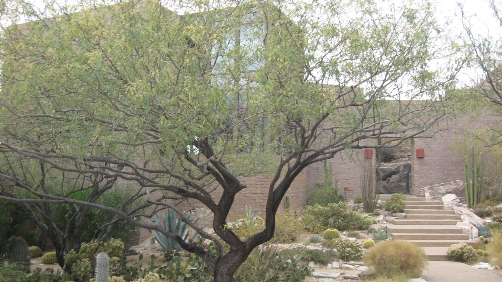 Most expensive Tucson area homes sold in 2016